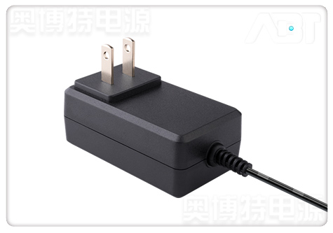 美規(guī)10V1A電源適配器